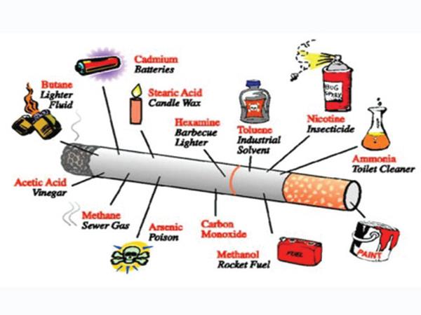 Tác hại của thuốc lá đối với sức khỏe con người